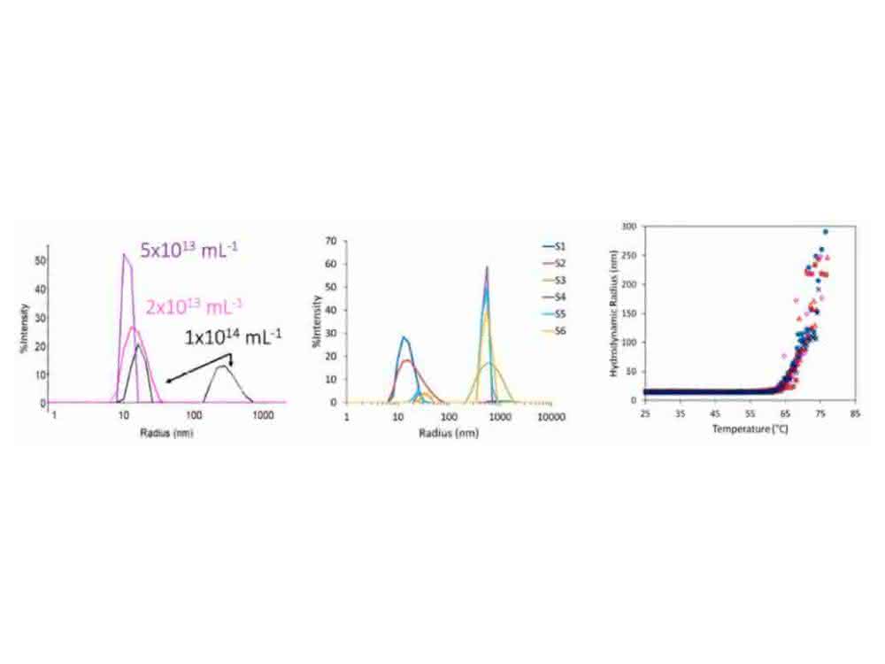 Virale Vektoren und andere Partikel im Life-Science-Bereich untersuchen: Lichtstreuung zur biophysikalischen Charakterisierung