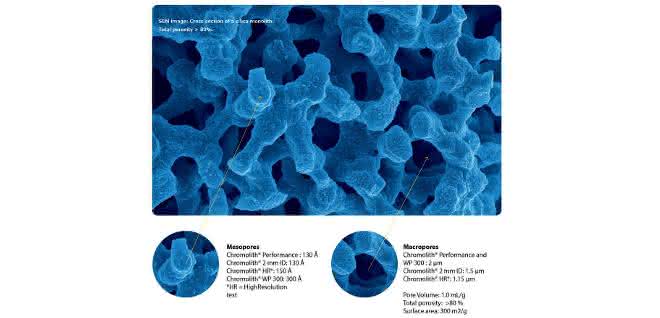 UHPLC: Monolithische Säulen für UHPLC-Trennungen