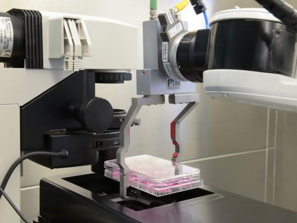 Automatisierung in den Life Sciences: High-Speed-Mikroskopie – Mikroskopieren in Bewegung