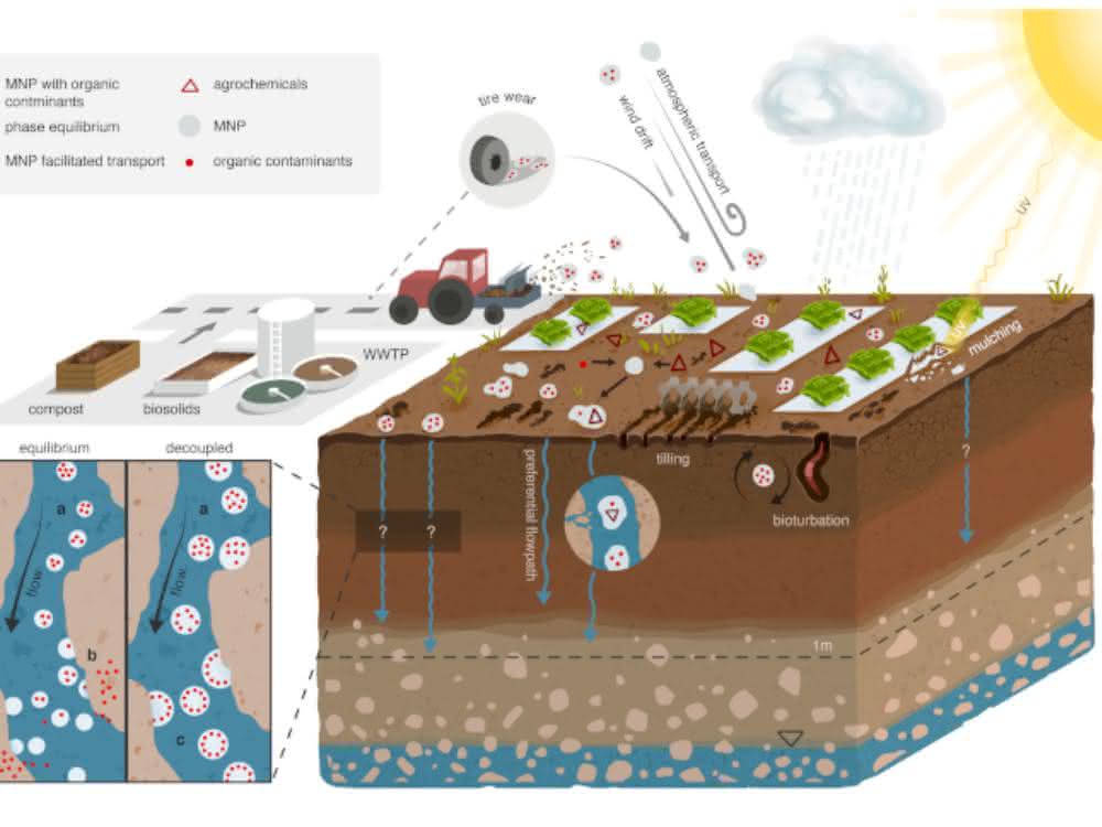 Kunststoffe in der Umwelt: Erhöht Mikroplastik die Mobilität von Schadstoffen in Ackerböden? Grafik zum Modell für die Berechnungen