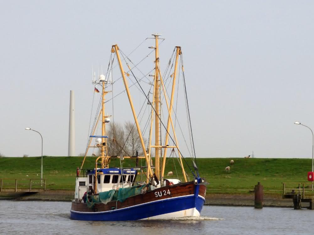 Zeitfracht Group rescues shrimp cutter
