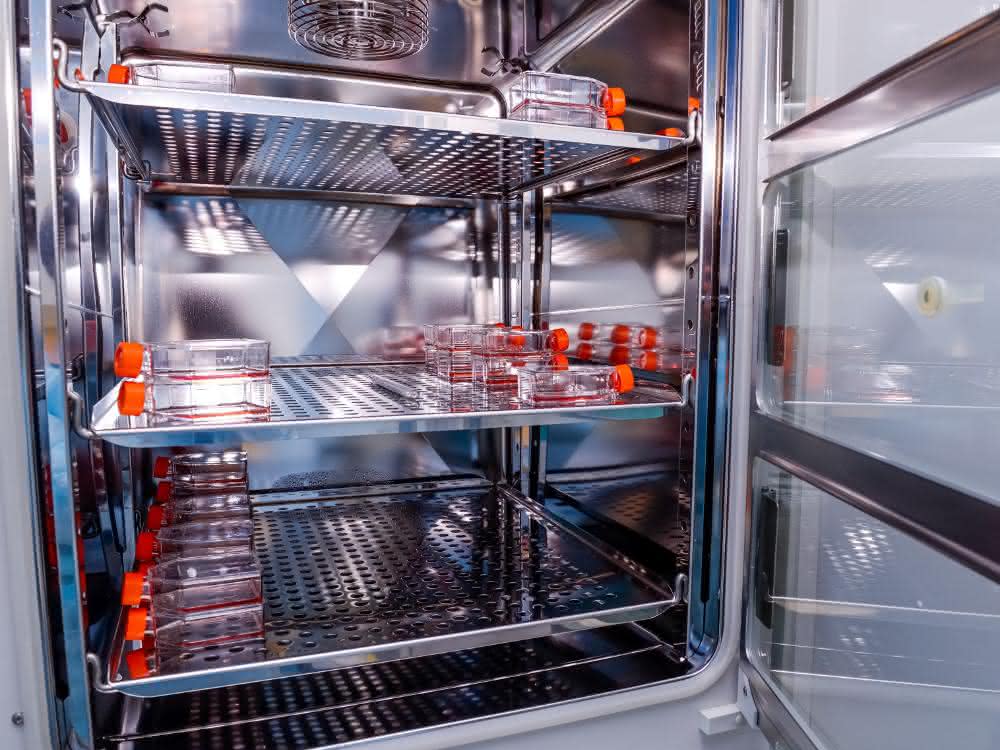 Blick in einen Labor-Brutschrank