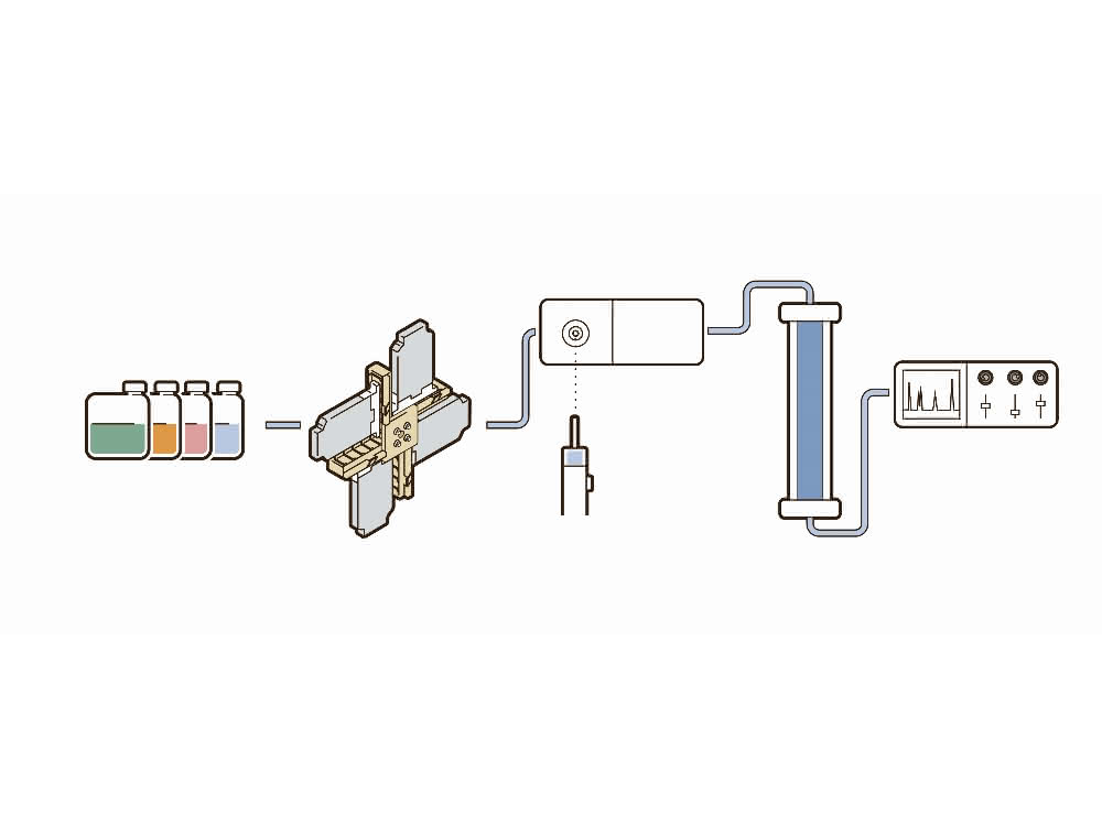 Schema