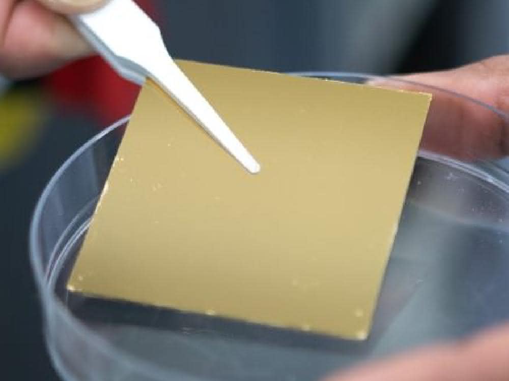 Trägermaterial (Goldoberfläche zu sehen, auf der die 2D-Siliziumdioxid-Schicht aufgebracht wird)