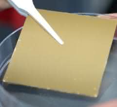 Trägermaterial (Goldoberfläche zu sehen, auf der die 2D-Siliziumdioxid-Schicht aufgebracht wird)