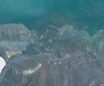 Plastikflaschen im Meer
