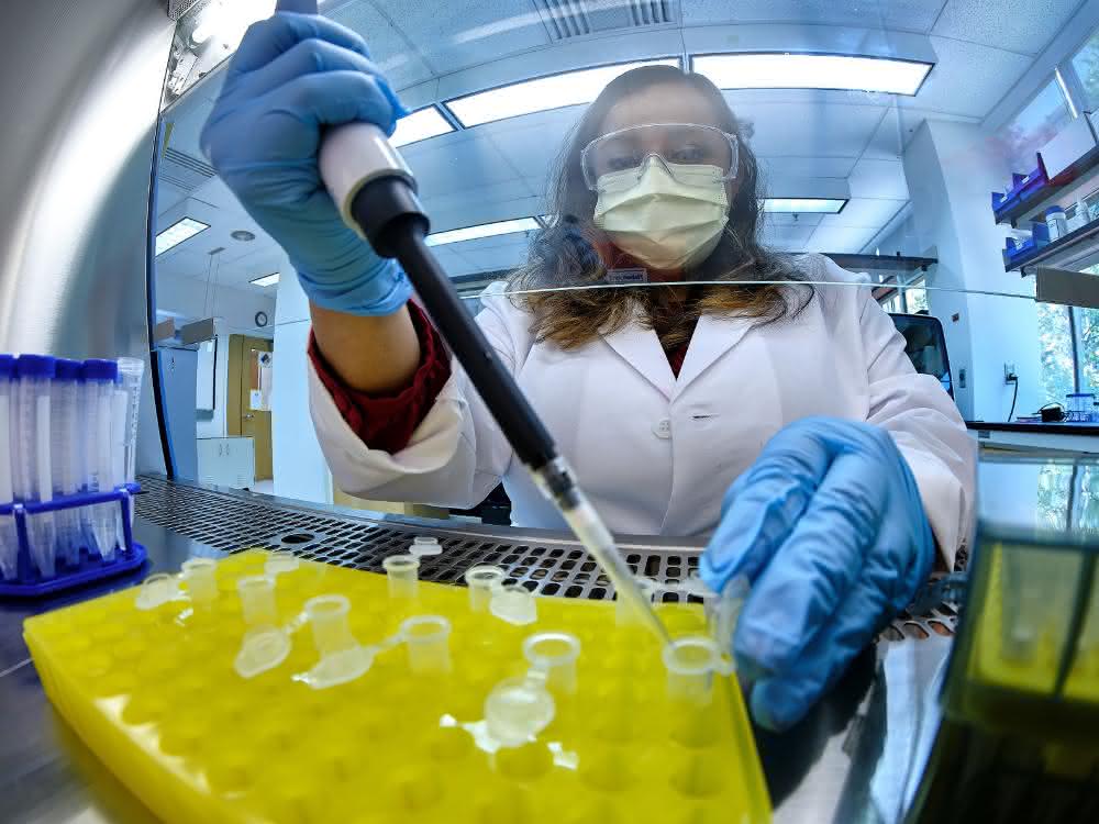 Systeme für Virenforschung und -detektion auf der Analytica: Von Probenvorbereitung bis Analytik rund um SARS-CoV-2 Pipettiervorgang im Labor
