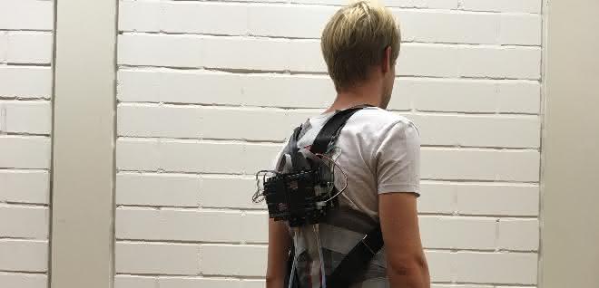 Back exoskeleton