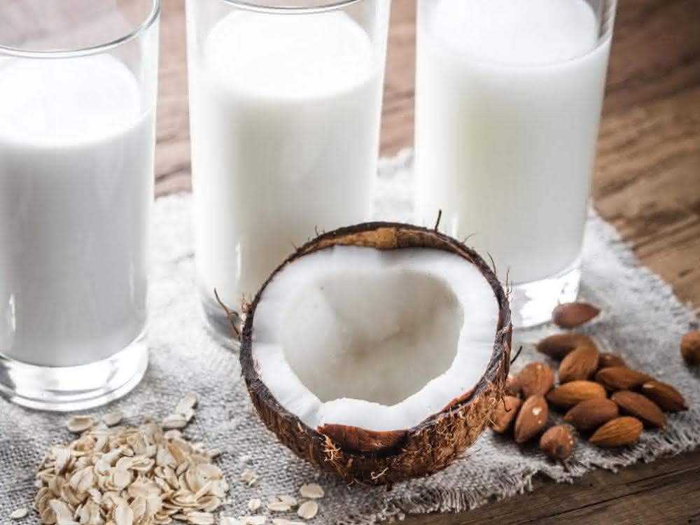 Lebensmittelqualität und Inhaltsstoffe: Feuchte, Fett- und Proteingehalt in Milchersatz-Produkten bestimmen Hafermilch, Kokosmilch, Mandelmilch