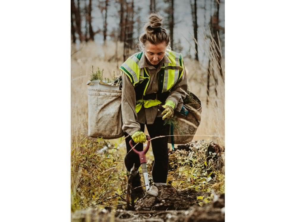 Getac is committed to reforestation with One Tree Planted