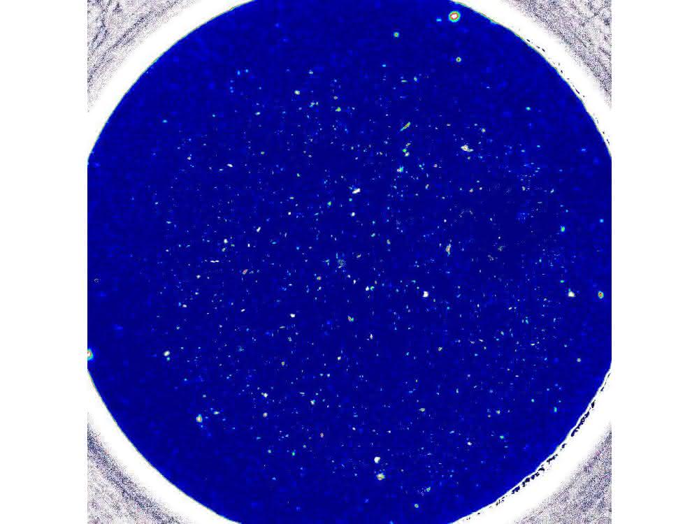 Eine Betrachtung: Mikroplastik-Analysetechniken im Vergleich mit FT-IR-Imaging FT-IR-Bild eines kompletten Filters