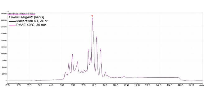 Chromatogramm