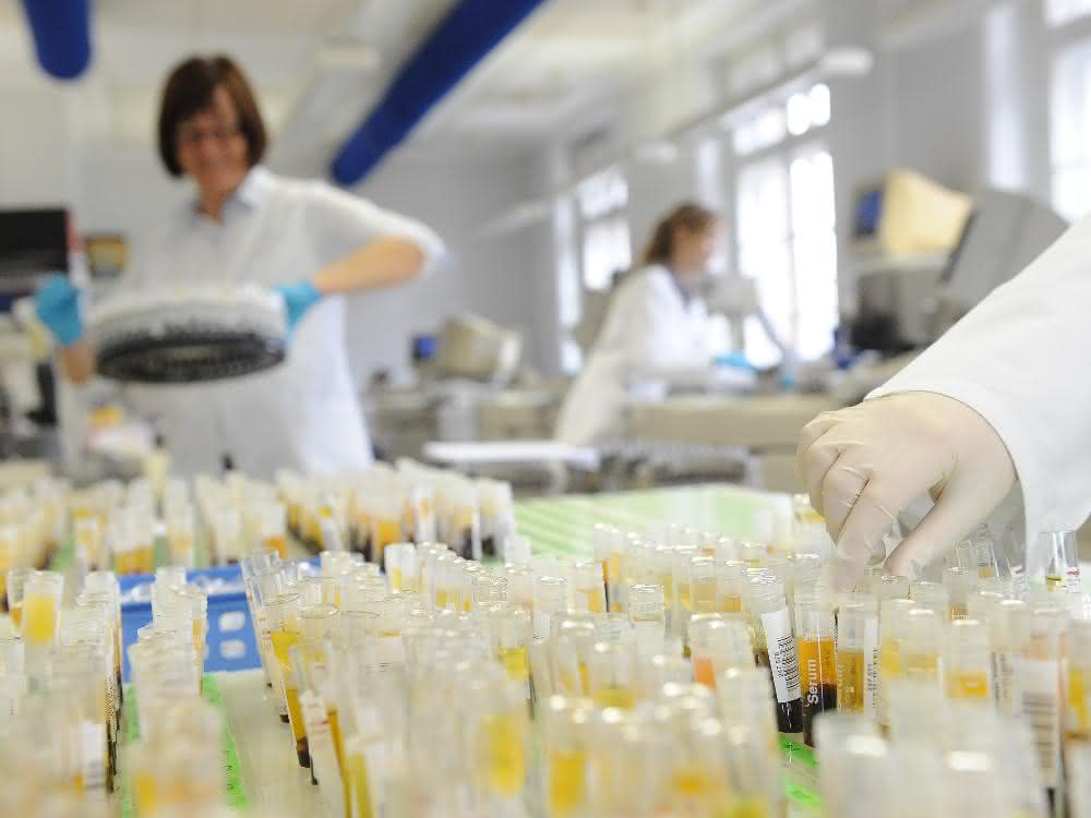 Blick in ein klinisches Labor