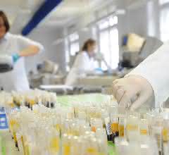 Blick in ein klinisches Labor