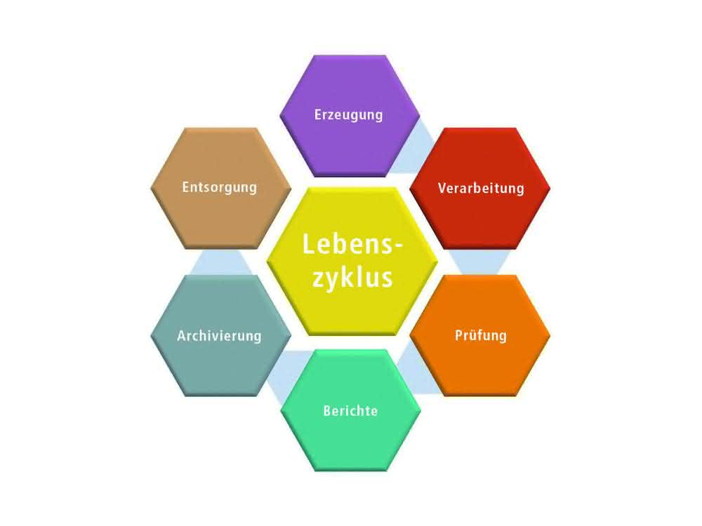 Grafik zum Lebenszyklus von Daten