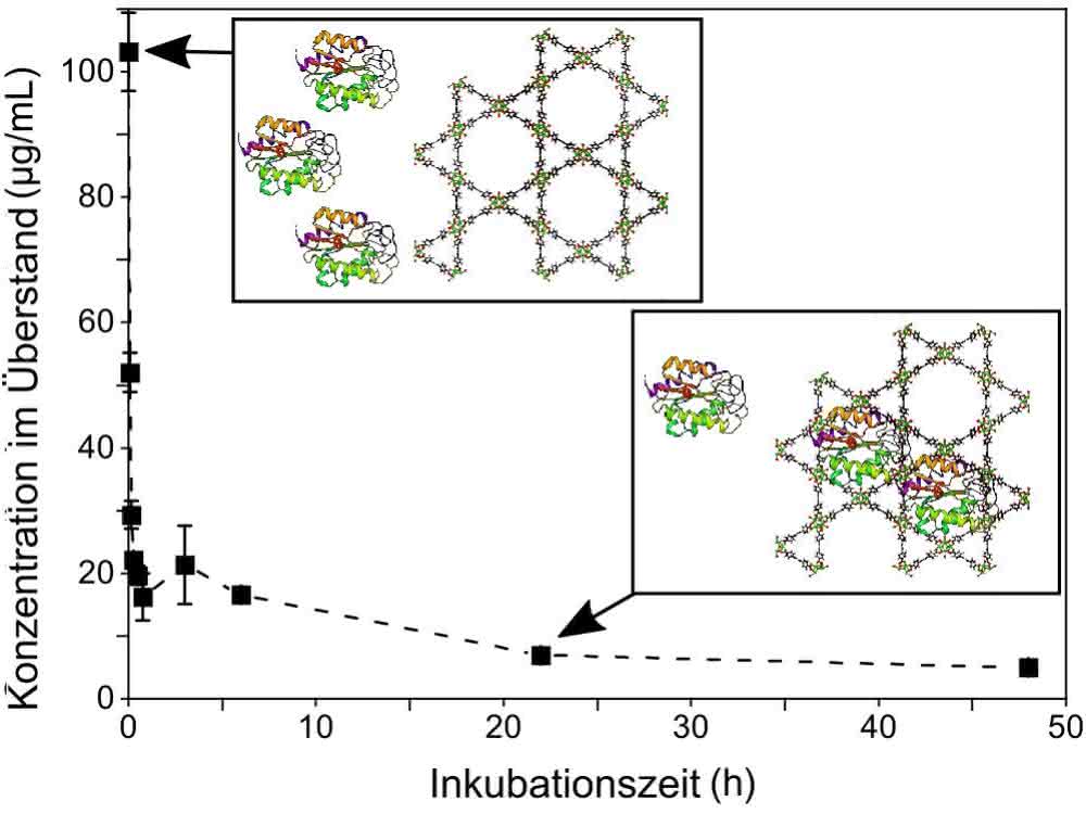 Biomoleküle