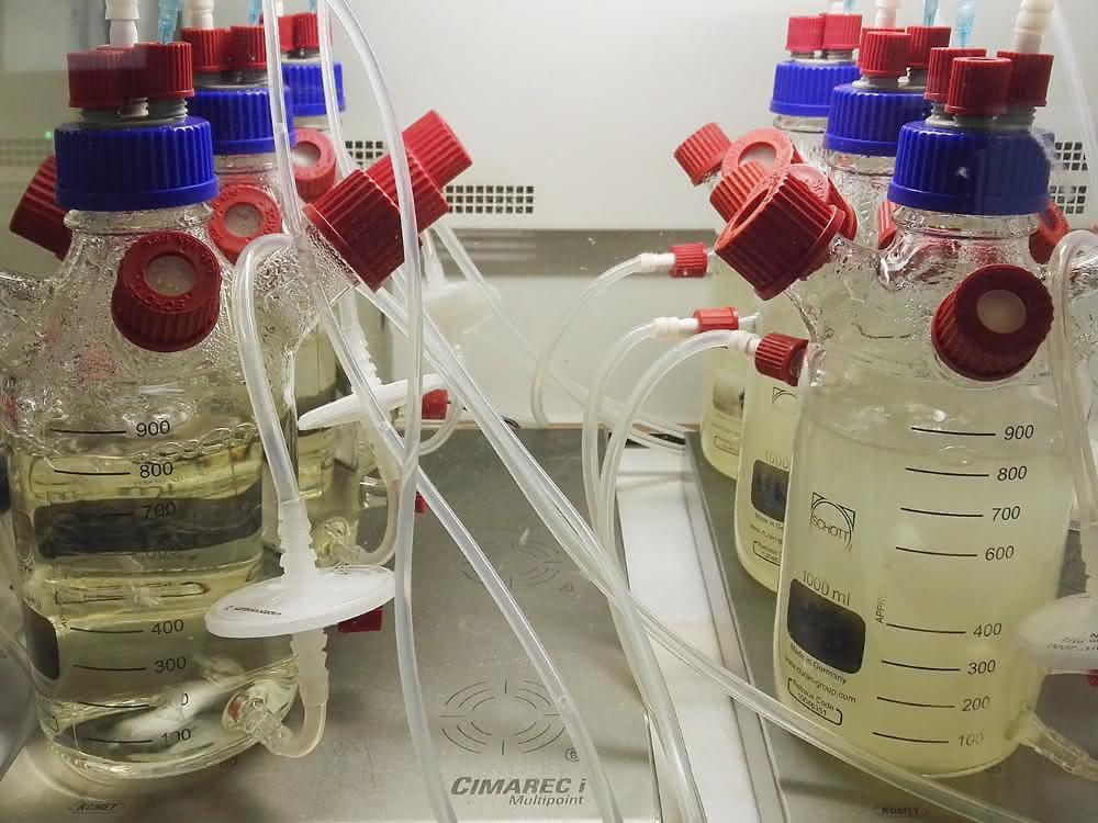 Bioreaktorsystem: Mikrobielle Gemeinschaften durch Massentransfer stabilisieren Loop-Bioreaktor-System aus sechs Bioreaktoren