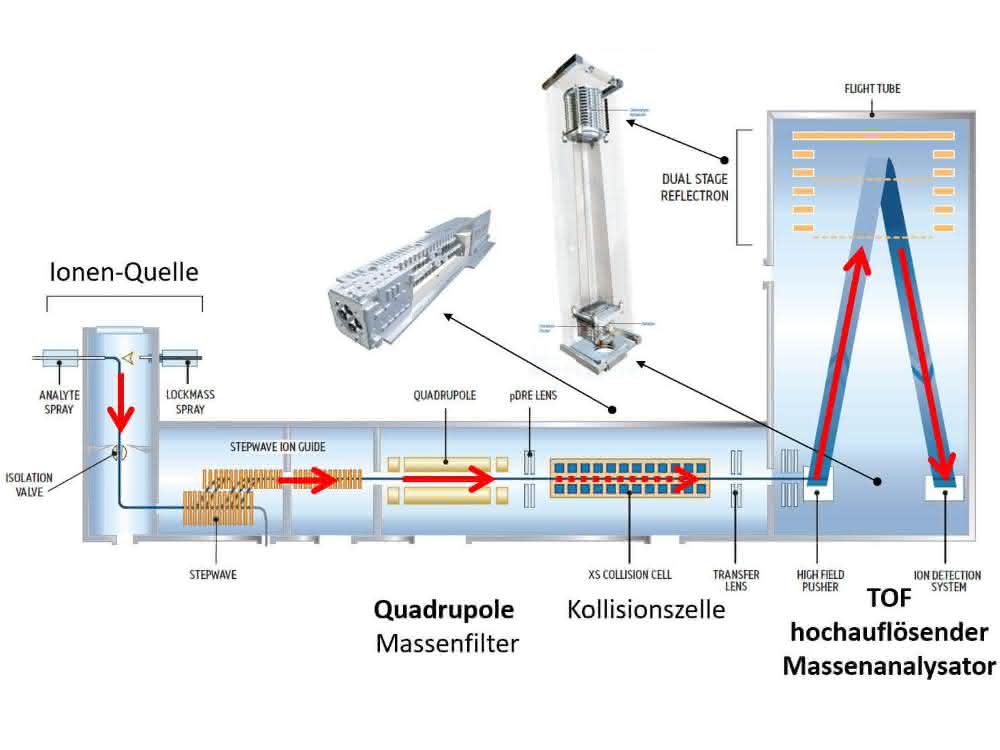 Hochauflösende Massenspektrometer: Gegenüberstellung von TOF- und Orbitrap-Systemen Tandem-Massenspektrometer-Aufbau (Grafik)