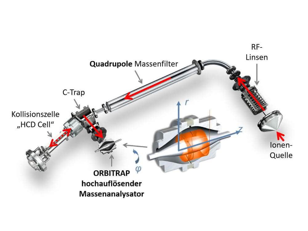 Hochauflösende Massenspektrometer: Gegenüberstellung von TOF- und Orbitrap-Systemen