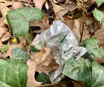 Microplastics Environment