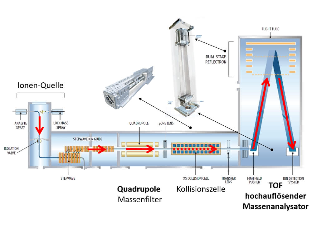 Tandem-Massenspektrometer-Aufbau (Grafik)