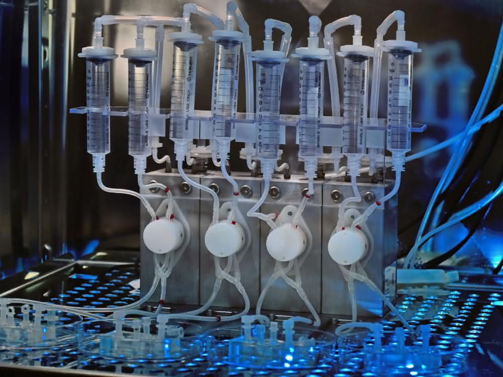 Von der Einzelzelle bis zum Organoid: Prozessketten zur Isolation und Analyse