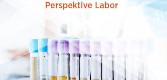 Fachkräftemangel in der Labormedizin entgegenwirken: Labore fordern gemeinsame Anstrengungen Titel/Startseite (Bildausschnitt) der ALM-Publikation zum Fachkräftemangel im medizinischen Labor