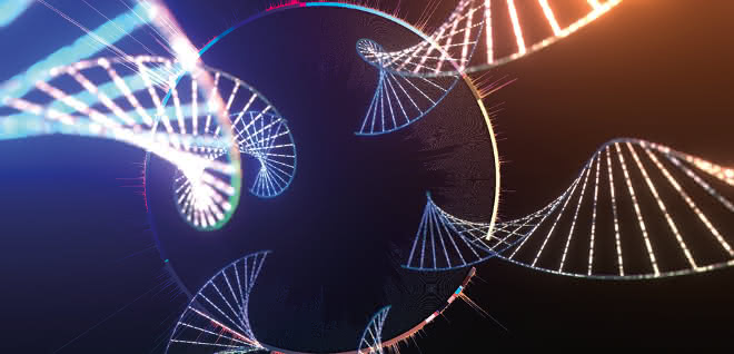 Studie: Bioinformatische Analyse von rund 170.000 bakteriellen Genomen Künstlerische Darstellung zum Thema