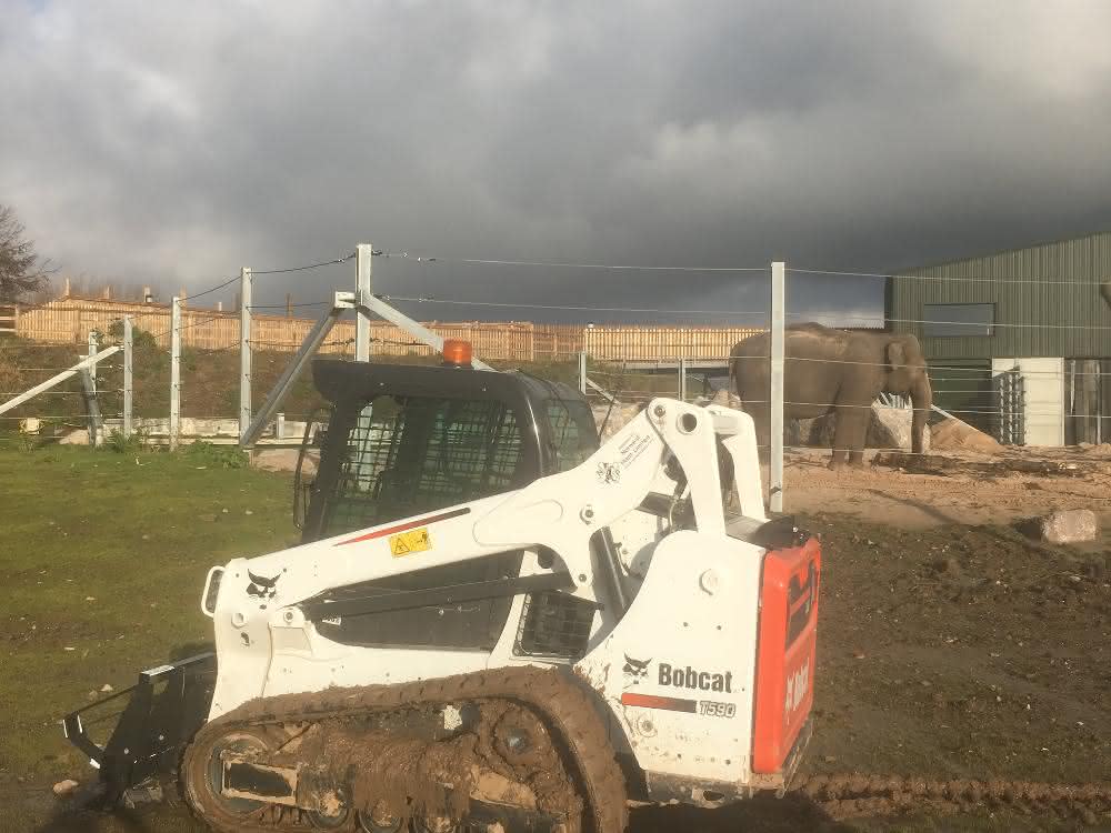 Für das „Project Elephant“ im Zoo des englischen Badeortes Blackpool wurde ein neuer Bobcat T590 Kompakt-Raupenlader angeschafft.