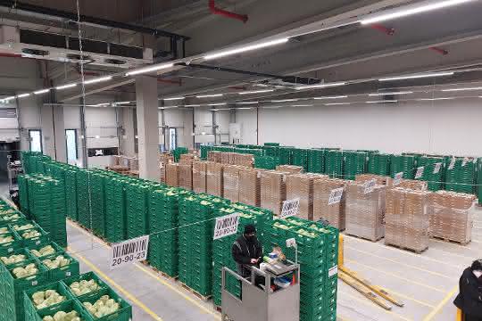 Frutura and Knapp strengthen SAP EWM partnership