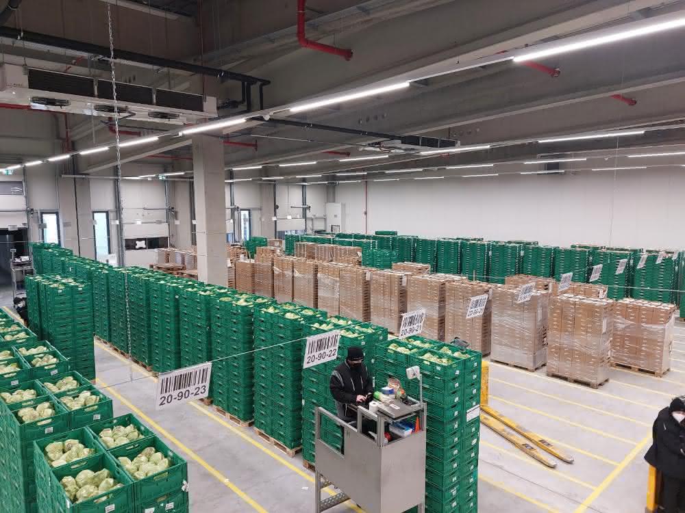 Frutura and Knapp strengthen SAP EWM partnership