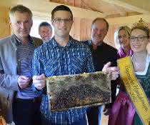 Mauerwerksbau: Schlagmann tut was für Bienen