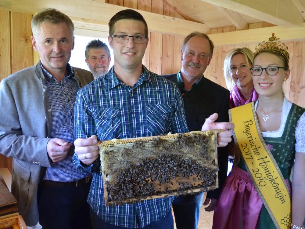Mauerwerksbau: Schlagmann tut was für Bienen