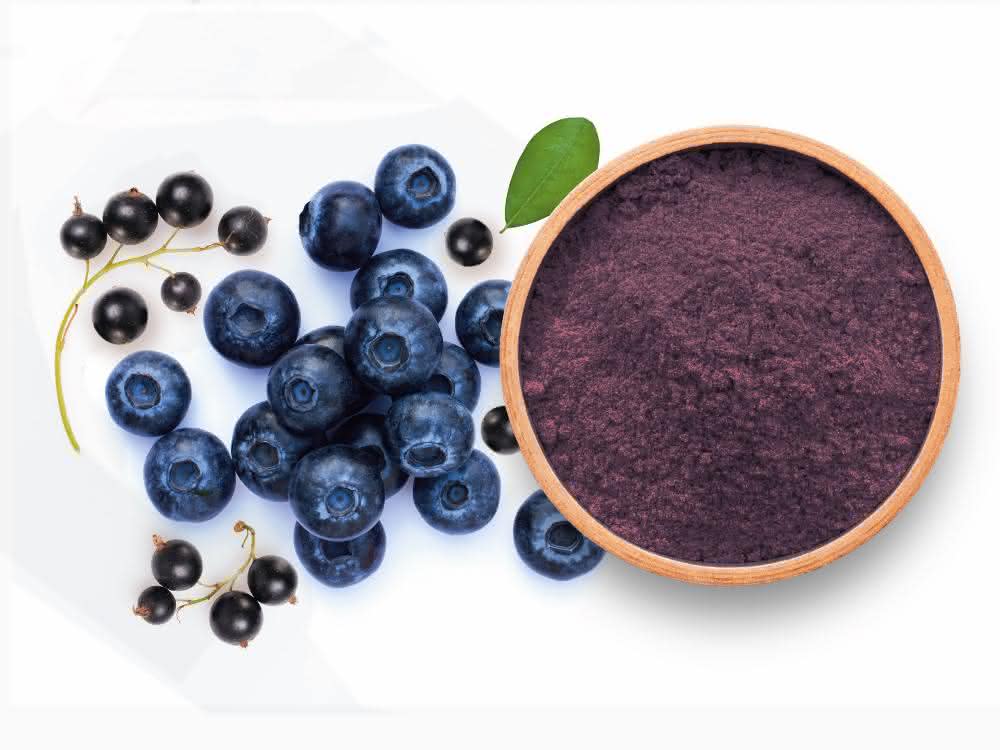 Blaubeeren, Johannisbeeren und Pulver