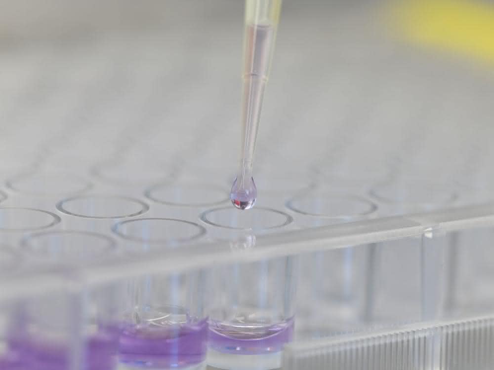 In-vitro-Assay