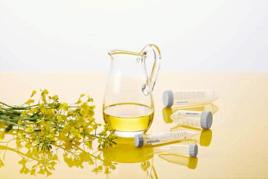 Rapsblüten; Öl und Tubes