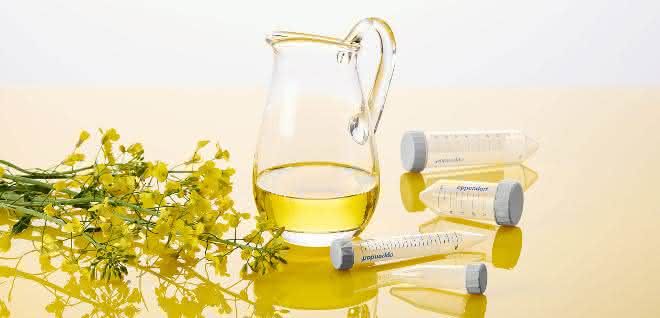 Nachhaltig produzierte Laborutensilien: Tubes aus Speiseöl? Rapsblüten; Öl und Tubes