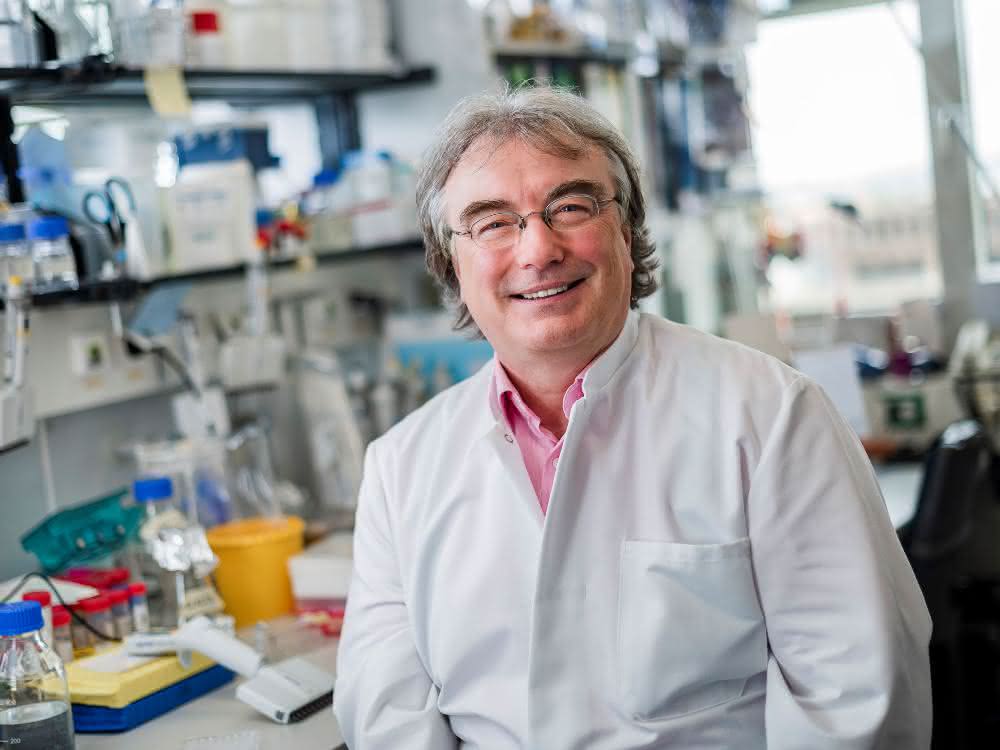 Prof. Dr. Ralf Erdmann
