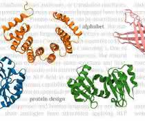 Proteinforschung: Künstliche Intelligenz für das Design neuartiger Proteine Proteinforschung: Künstliche Intelligenz für das Design neuartiger Proteine