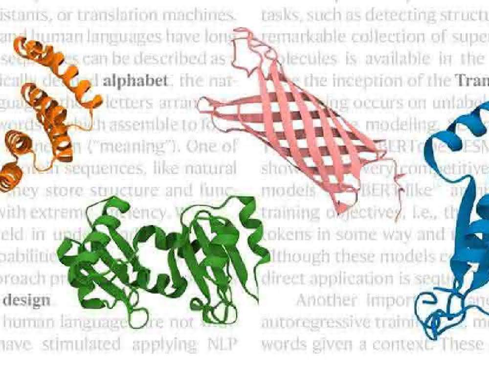 Proteinforschung: Künstliche Intelligenz für das Design neuartiger Proteine Proteinforschung: Künstliche Intelligenz für das Design neuartiger Proteine