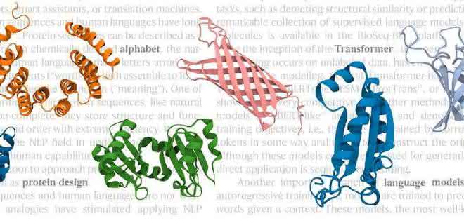 Proteinforschung: Künstliche Intelligenz für das Design neuartiger Proteine Proteinforschung: Künstliche Intelligenz für das Design neuartiger Proteine