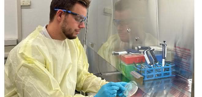 Chemie und Wirkstoffforschung: Metallverbindungen gegen Pilzinfektionen