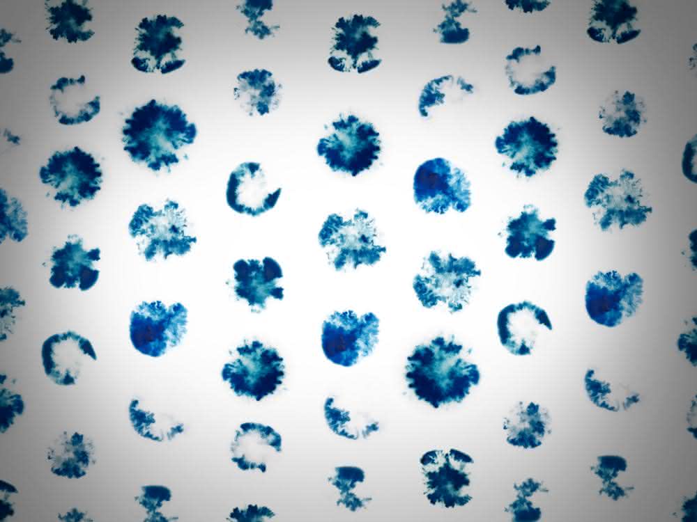 CRISPR-Cas-System eines Bakteriums: Gen-Hemmung statt Gen-Schere CRISPR-Cas-System eines Bakteriums: Gen-Hemmung statt Gen-Schere
