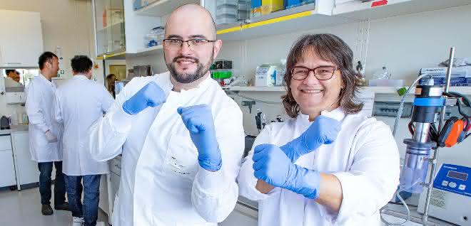 Virologie: Protein MxB greift Kapsid des Herpesvirus an