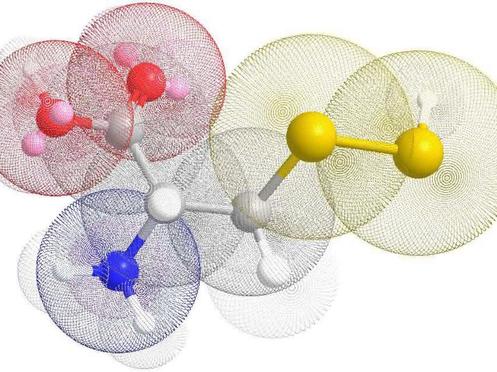 (Tumor-)Zellen im Stress: Die Rolle von Persulfiden beim Schutz vor Ferroptose Molekülmodell des Cystein-Persulfid
