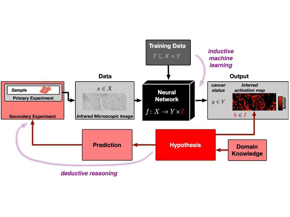 Bioinformatik: Wie KI ihre Entscheidungen erklären kann Schema zu KI-Methode (Prozesse)