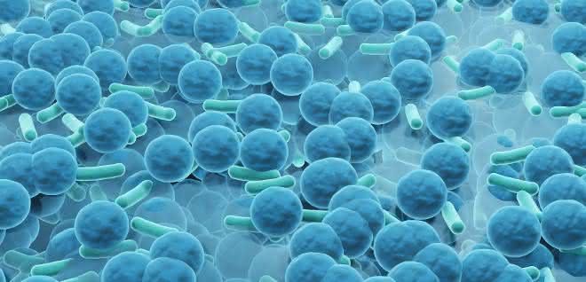 Chemie und Mikrobiologie: Biofilmbildung mit Cerdioxid verhindern