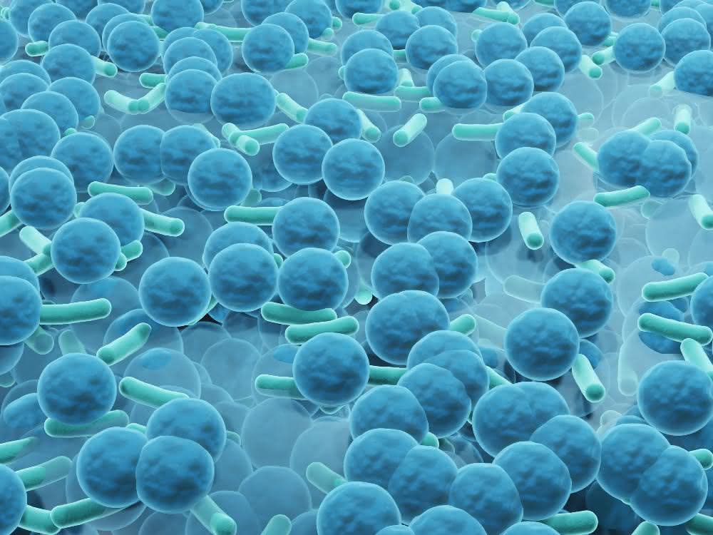 Chemie und Mikrobiologie: Biofilmbildung mit Cerdioxid verhindern