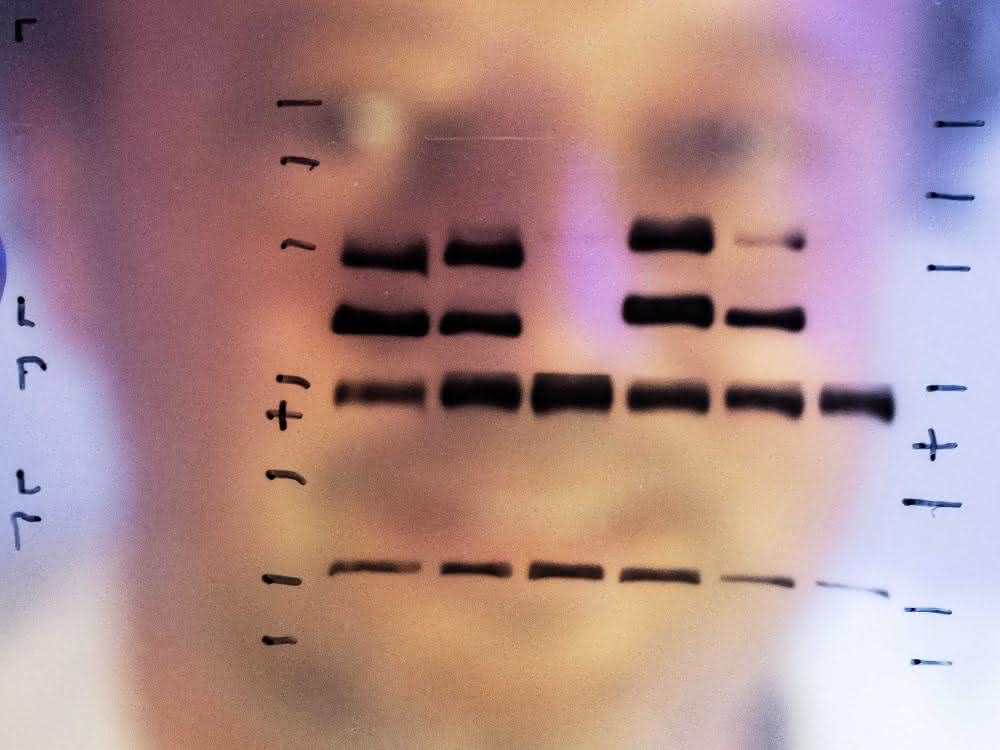 PD Dr. Christian Kosan, Universität Jena