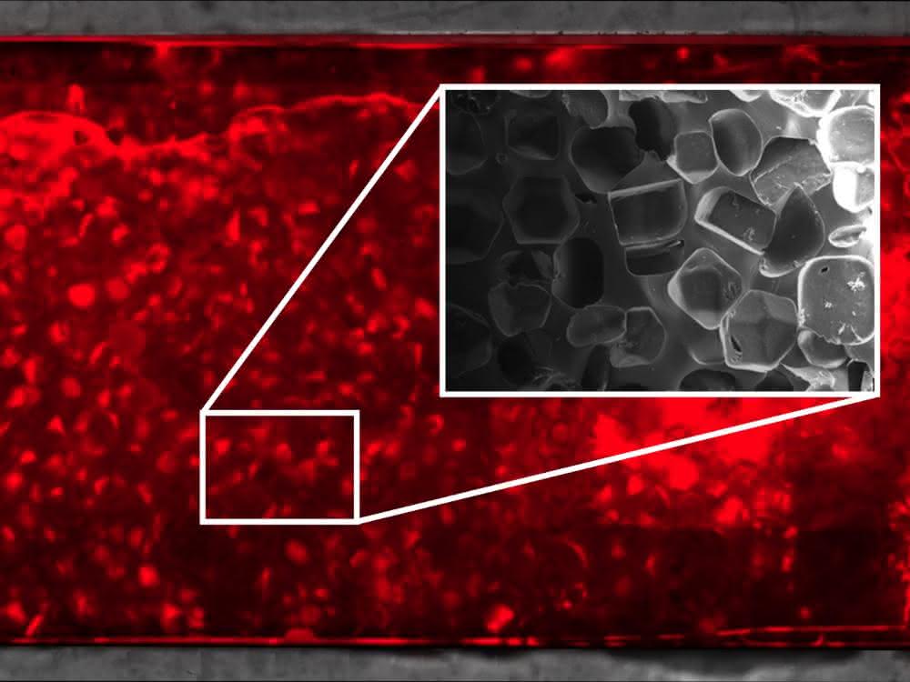 Unbekannte Mikroorganismen aufspüren: Mit makroporösen Silikonchips Mikroorganismen finden Unbekannte Mikroorganismen aufspüren: Mit makroporösen Silikonchips Mikroorganismen finden